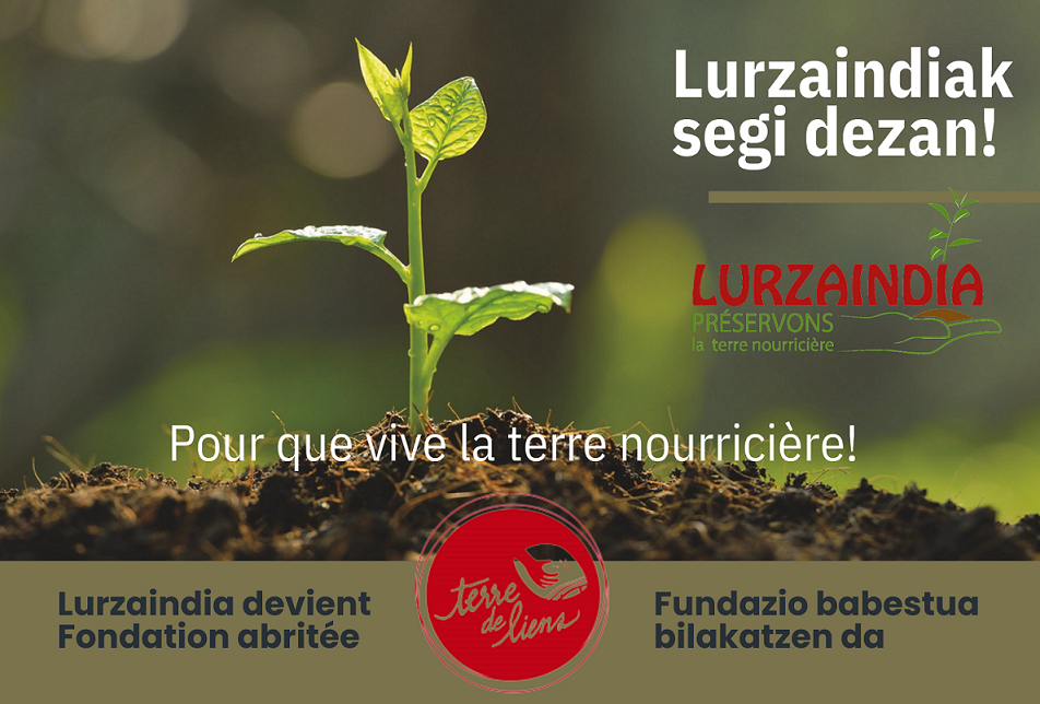 Lurzaindia devient Fondation!