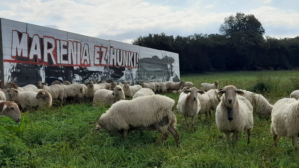 Communiqué ELB, Lurzaindia, Nahi Dugun Herria et Réseau OSTIA suite aux arrestations du 2 octobre