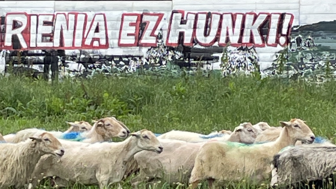 KASU ARDIAK KEXU!