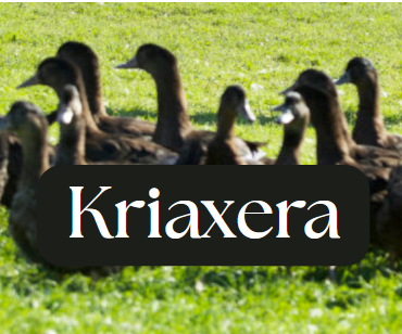 KRIAXERA